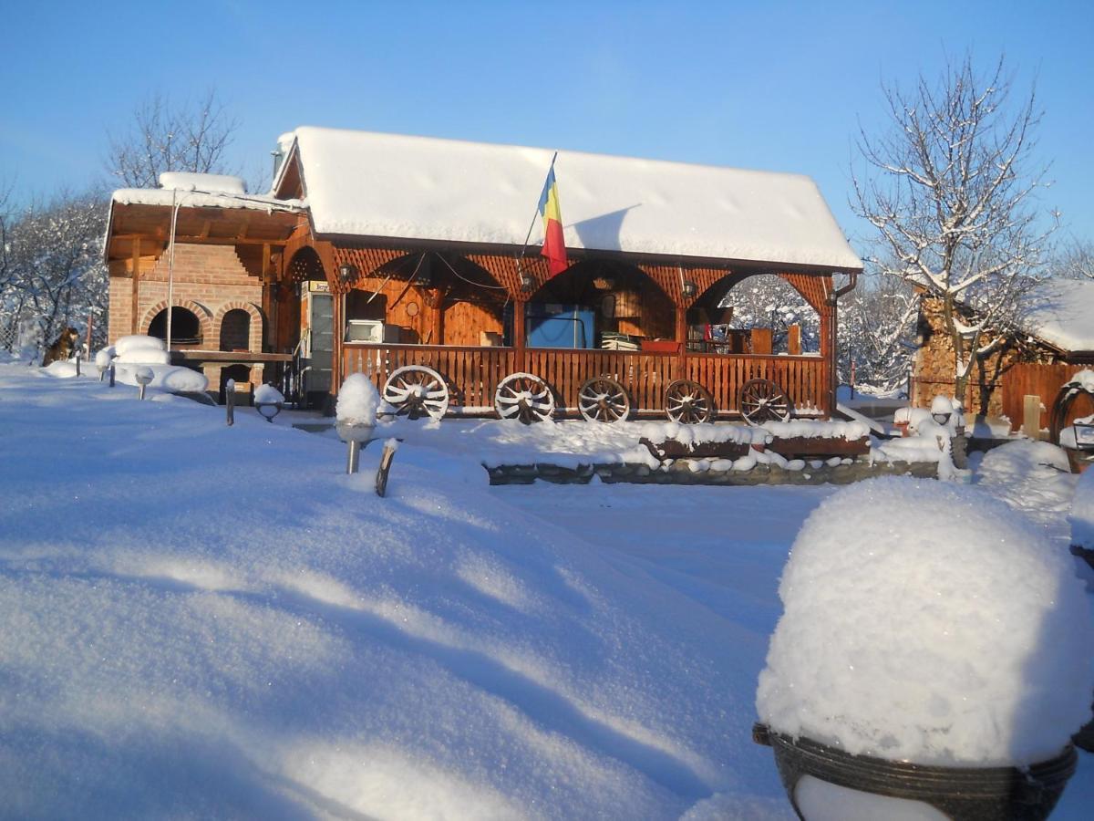 Pensiunea Roua Muntilor Sîmbăta de Sus Екстериор снимка