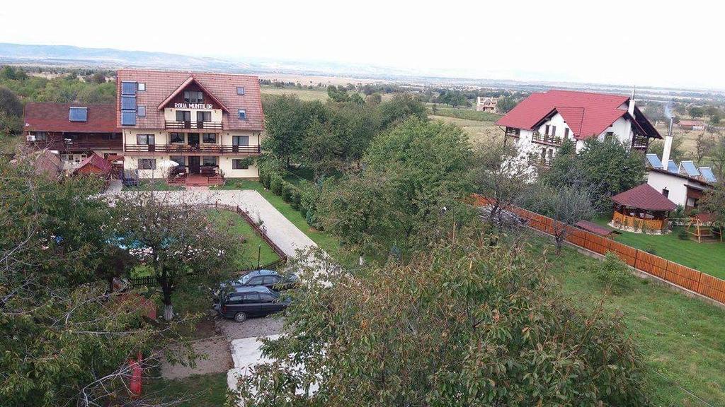Pensiunea Roua Muntilor Sîmbăta de Sus Екстериор снимка
